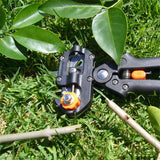 Secateur de greffage